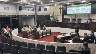 Imagem referente à notícia: Com 29,41% do orçamento, Saúde de Toledo presta contas no Legislativo