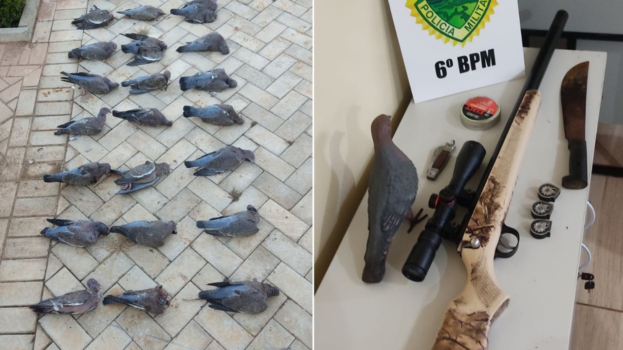 PM apreende 30 pombas abatidas e aplica R$ 15 mil em multa por caça ilegal em Guaraniaçu