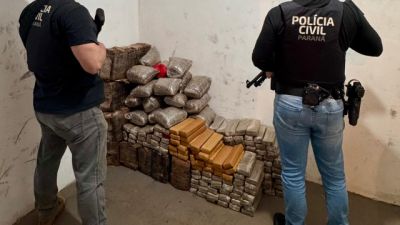 Imagem referente à notícia: Polícia Civil apreende mais de 211 kg de maconha após localizar carro acidentado na BR-277 em Guaraniaçu