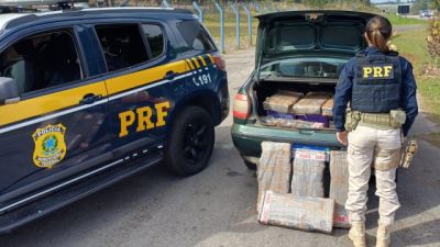 Imagem referente à notícia: PRF apreende mais de 250 kg de maconha em Balsa Nova e prende motorista na BR-277