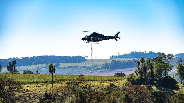PRF realiza semeadura aérea de 18 toneladas de sementes de palmeira-juçara no Paraná