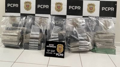Imagem referente à notícia: Operação Rastreio: Polícia Civil apreende mais 73 quilos de maconha e prejuízo ao crime chega a R$ 1,2 milhão
