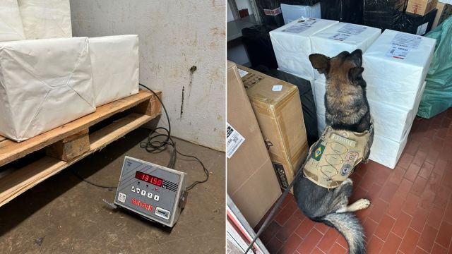 PF apreende 130 kg de maconha em encomendas de comércio eletrônico com ajuda de cães farejadores em Foz do Iguaçu