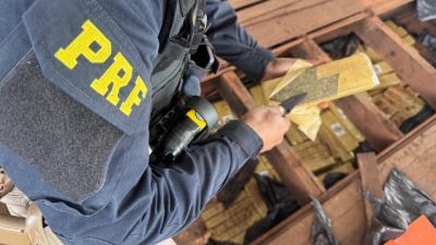 Imagem referente à notícia: PRF apreende 555 quilos de maconha escondidos em caminhão na BR-487 e prende motorista após fuga