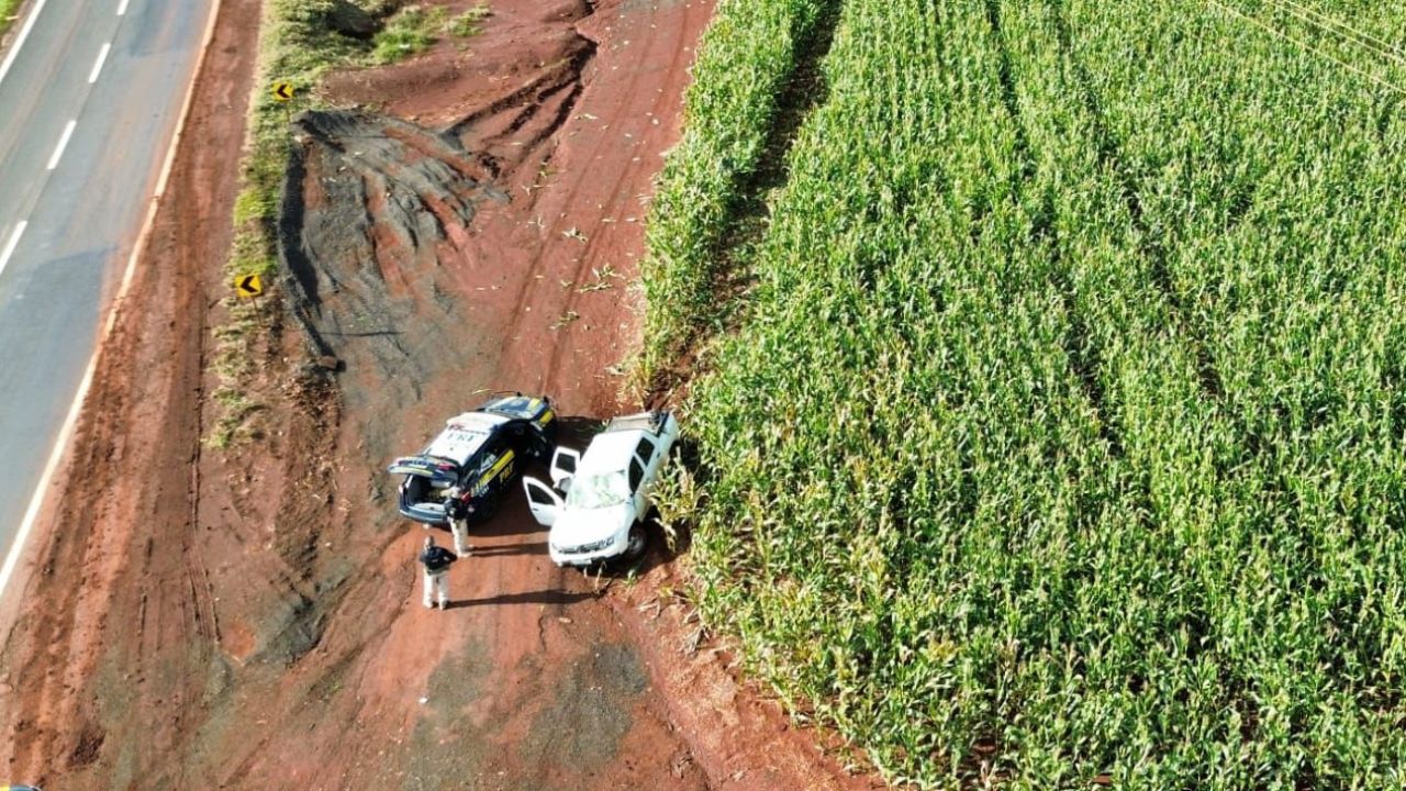 PRF apreende 625 quilos de maconha após perseguição em Engenheiro Beltrão