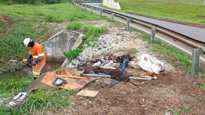 Imagem referente à notícia: EPR Iguaçu recolhe mais de 622 toneladas de resíduos nas rodovias do Oeste e Sudoeste