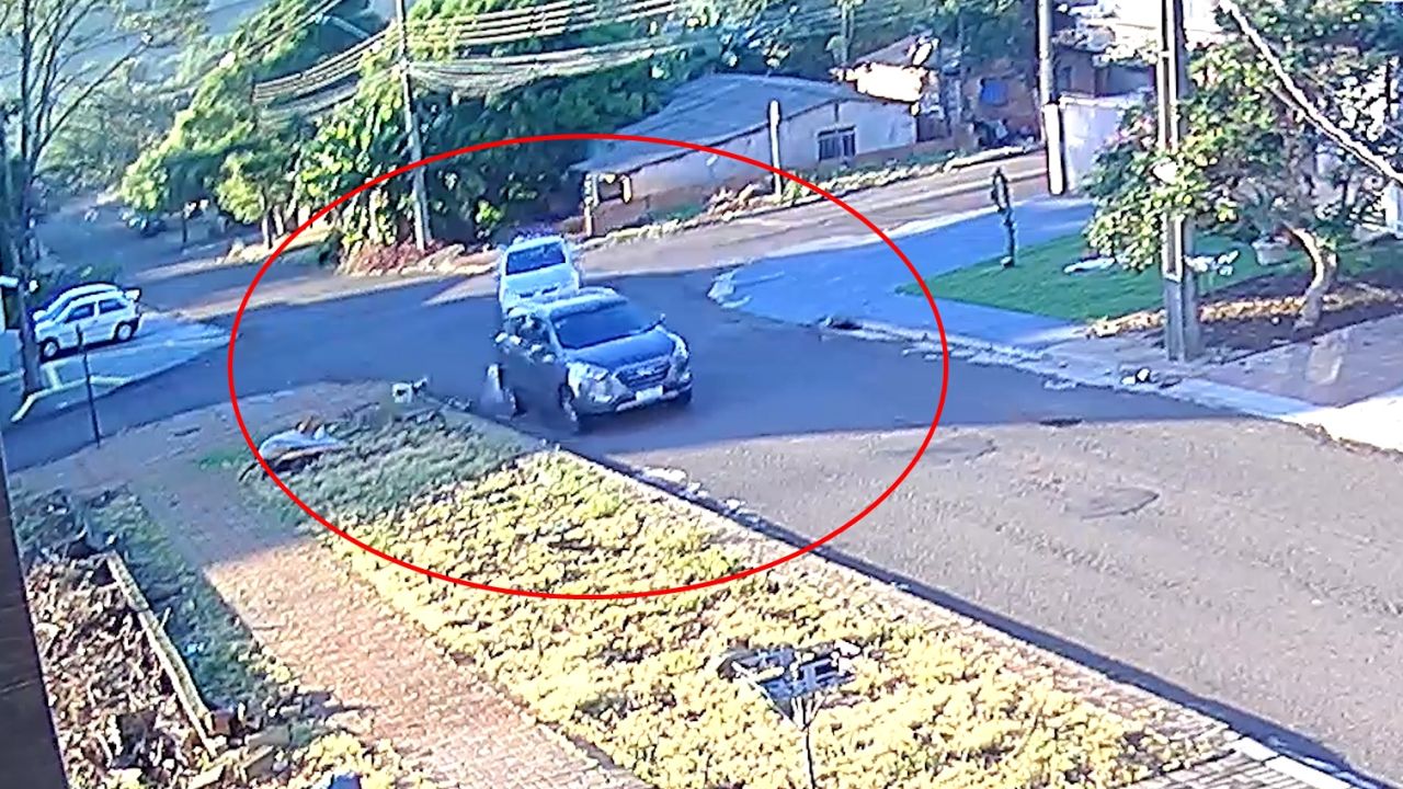 Cão é atropelado em Cascavel e motorista deixa local sem prestar socorro; Polícia Civil busca identificar responsável