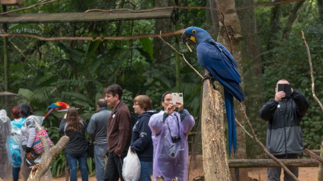 Paraná foi o terceiro portão de entrada de turistas estrangeiros em maio no país