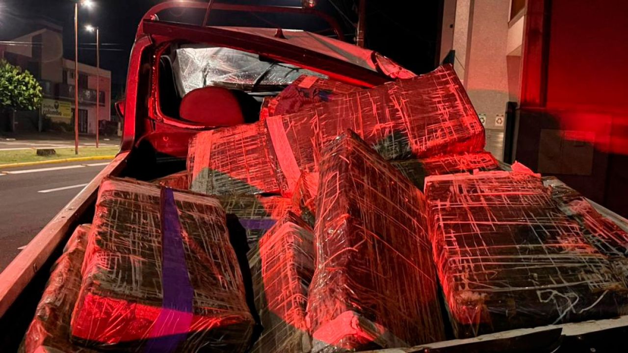 PMPR apreende mais de 5 toneladas de maconha em operações no Oeste