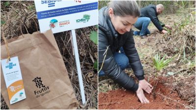 Imagem referente à notícia: Feira do Empreendedor de Cascavel deixa legado ambiental com plantio de mudas