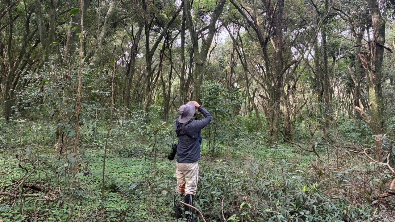 Itaipu e Embrapa realizam inventário de fauna para monitorar “infraestrutura verde” que protege o reservatório