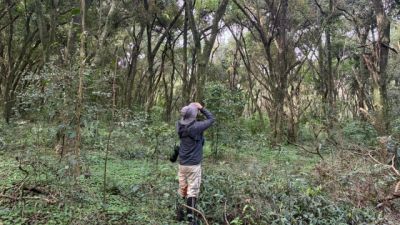 Imagem referente à notícia: Itaipu e Embrapa realizam inventário de fauna para monitorar “infraestrutura verde” que protege o reservatório