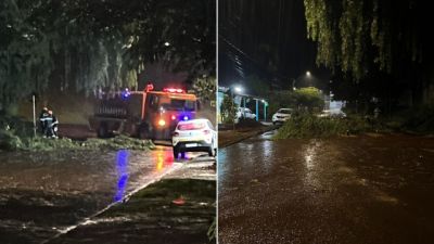 Imagem referente a notícia: Fortes chuvas mobilizam Defesa Civil em Corbélia; equipes atendem ocorrências e reforçam alerta à população