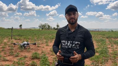 Imagem referente à notícia: Plano Safra impulsiona produção de mandioca e sucessão familiar no Noroeste do Paraná