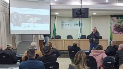 Imagem referente à notícia: Conecta Angus estreia no Paraná e reúne produtores em Cascavel para impulsionar inovação na pecuária de corte