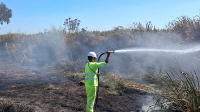 Imagem referente a notícia: Via Campo alerta para risco de incêndios às margens das rodovias e orienta usuários