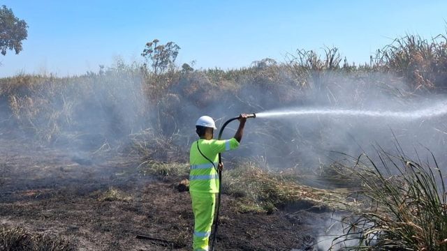 Imagem referente a notícia: Via Campo alerta para risco de incêndios às margens das rodovias e orienta usuários