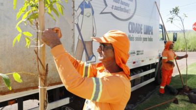Imagem referente à notícia: Vandalismo contra mudas plantadas pela Prefeitura compromete arborização da cidade