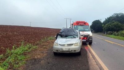 Imagem referente à notícia: Pedestre morre após ser atropelado por Volkswagen Fox na PR-495, em Missal
