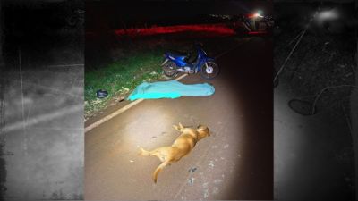 Imagem referente à notícia: Idoso de 72 anos morre após atropelar animal e cair de motocicleta na PR-495, em Serranópolis do Iguaçu