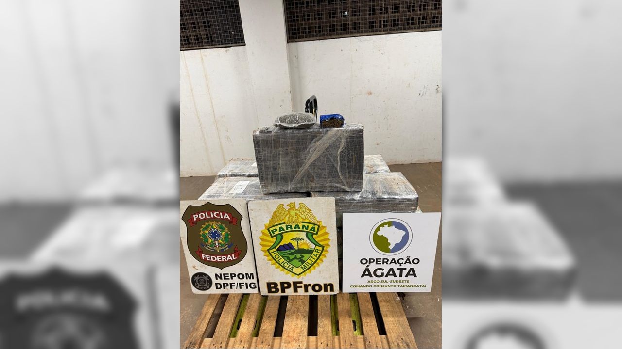 PF, PM e FAB apreendem 373 quilos de maconha em depósito clandestino em Foz do Iguaçu/PR