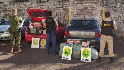 Operação com apoio aéreo apreende cigarros contrabandeados e prende suspeito na BR-277, em Santa Tereza do Oeste