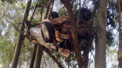Carro fica preso em árvore após saída de pista na PR-542 entre Colorado e Itaguajé