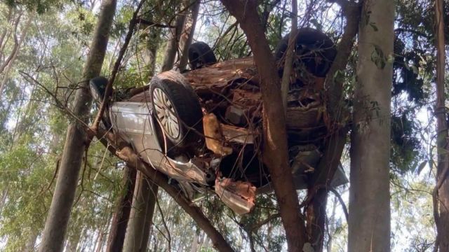 Carro fica preso em árvore após saída de pista na PR-542 entre Colorado e Itaguajé