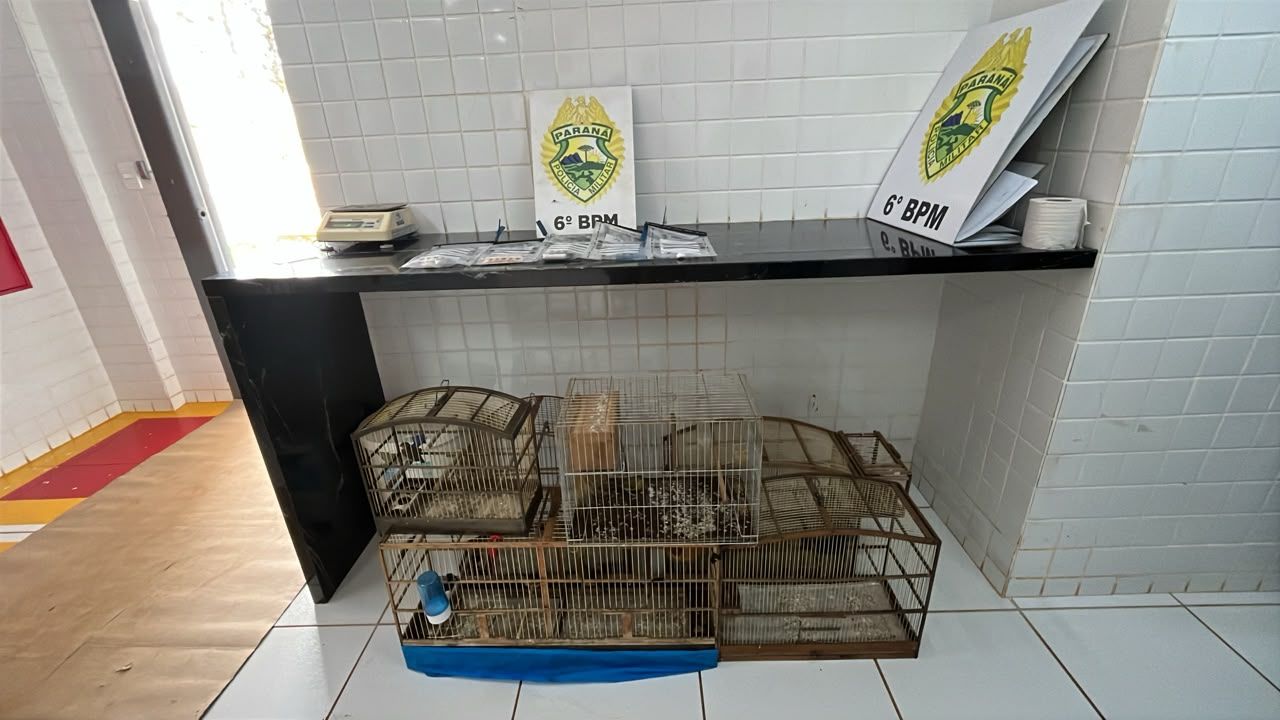PM encontra cocaína durante abordagem por ave silvestre e prende homem por tráfico no Bairro Cascavel Velho