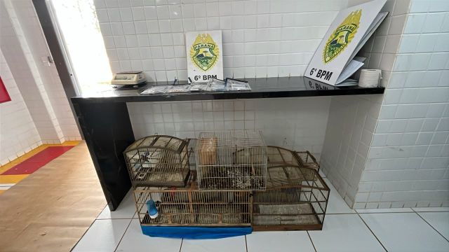 PM encontra cocaína durante abordagem por ave silvestre e prende homem por tráfico no Bairro Cascavel Velho