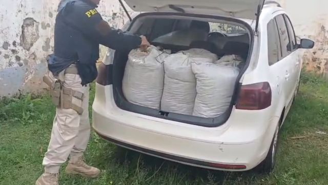 PRF apreende quase 300 quilos de drogas e prende suspeito em hotel no Paraná