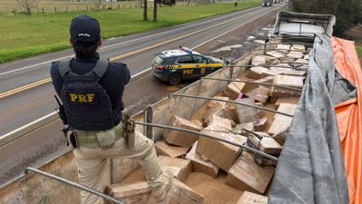 PRF apreende mais de 3,5 toneladas de maconha escondidas em carga de trigo na BR-277