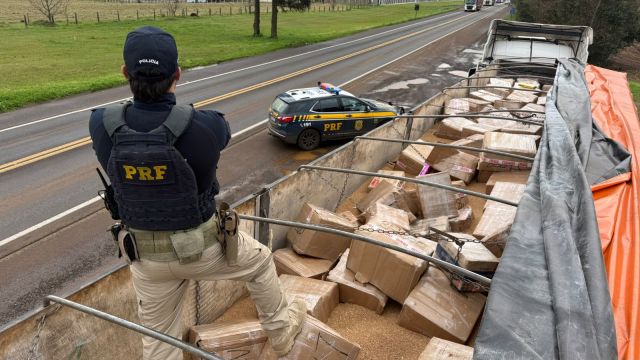 PRF apreende mais de 3,5 toneladas de maconha escondidas em carga de trigo na BR-277