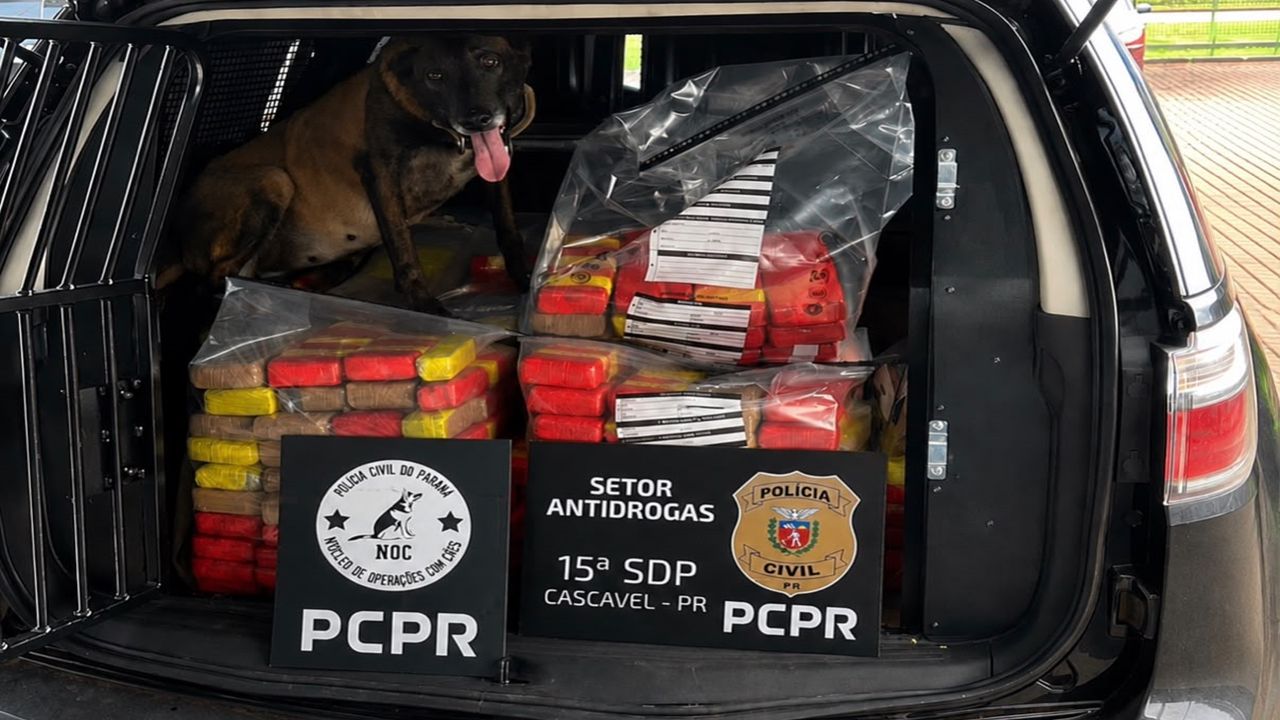 Ação conjunta apreende mais de 141 quilos de maconha em empresa de encomendas em Cascavel