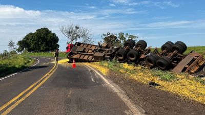 Caminhão sai da pista e colide contra árvores, cerca e poste na PR-496 em Terra Roxa