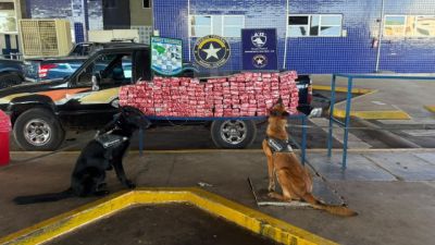 Receita Federal apreende 197 kg de substância análoga à maconha após fuga de caminhonete