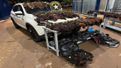 Carga com 148,2 kg de cabelo humano e valor estimado em R$ 1 milhão é apreendida na BR-277