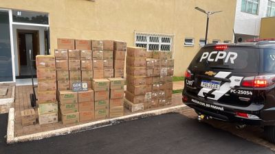 Polícia Civil apreende grande quantidade de luvas hospitalares desviadas de hospital de Cascavel