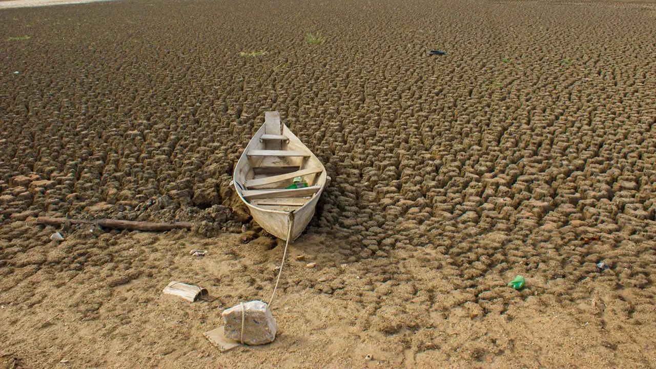 Brasil promete restaurar 163 mil km de terras degradadas até 2030