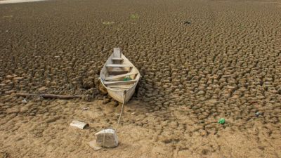 Brasil promete restaurar 163 mil km² de terras degradadas até 2030