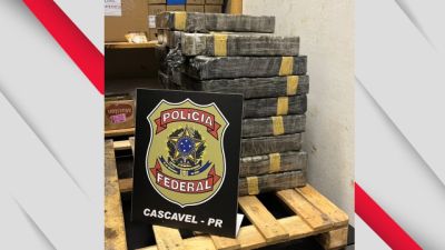 Polícia Federal combate o tráfico internacional de drogas e apreende mais de 250 kg de entorpecente na região oeste do Paraná