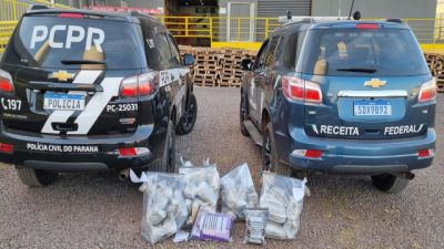 Polícia Civil e Receita Federal apreendem 33,4 quilos de drogas em Cascavel
