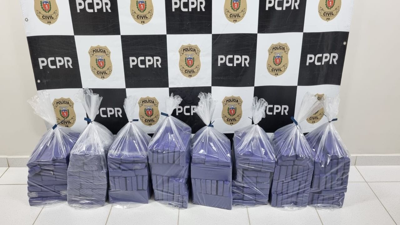 Polícia Civil e Receita Federal apreendem 145 quilos de maconha em empresa de encomendas em Cascavel