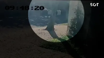 Câmera flagra acidente entre Saveiro e Corolla que terminou com vítima enclausurada em Cascavel