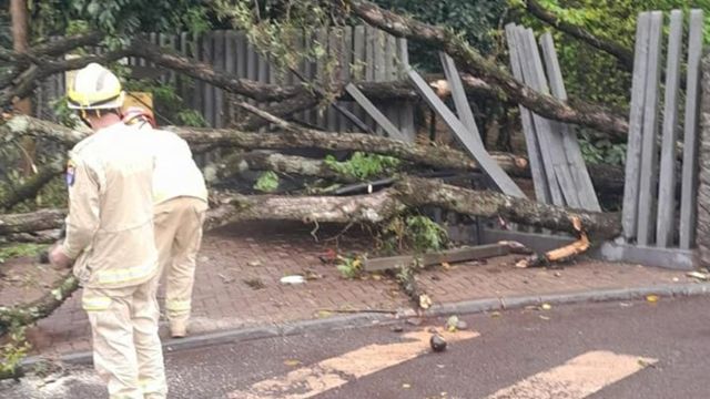 Zoológico de Cascavel fecha após temporal derrubar galhos e árvore no parque