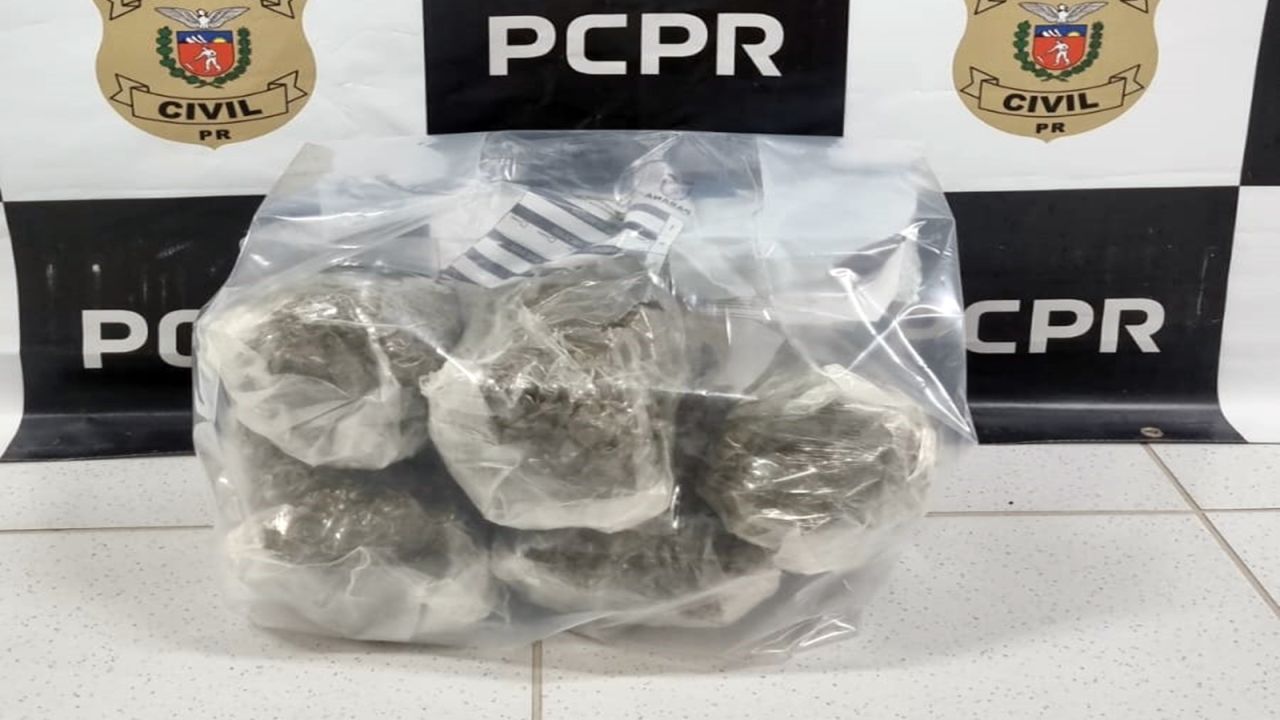 Polícia Civil e Receita Federal apreendem 5 quilos de capulho escondidos em caixas em Cascavel
