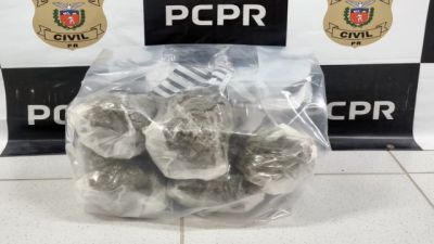 Polícia Civil e Receita Federal apreendem 5 quilos de capulho escondidos em caixas em Cascavel