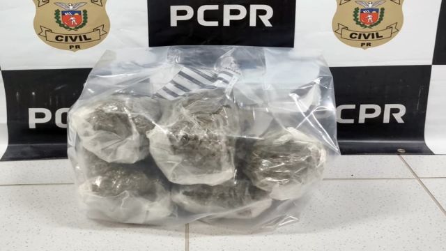 Polícia Civil e Receita Federal apreendem 5 quilos de capulho escondidos em caixas em Cascavel