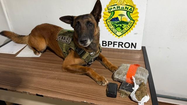 BPFron apreende mais de 1 kg de maconha e prende dois homens em São Pedro do Iguaçu