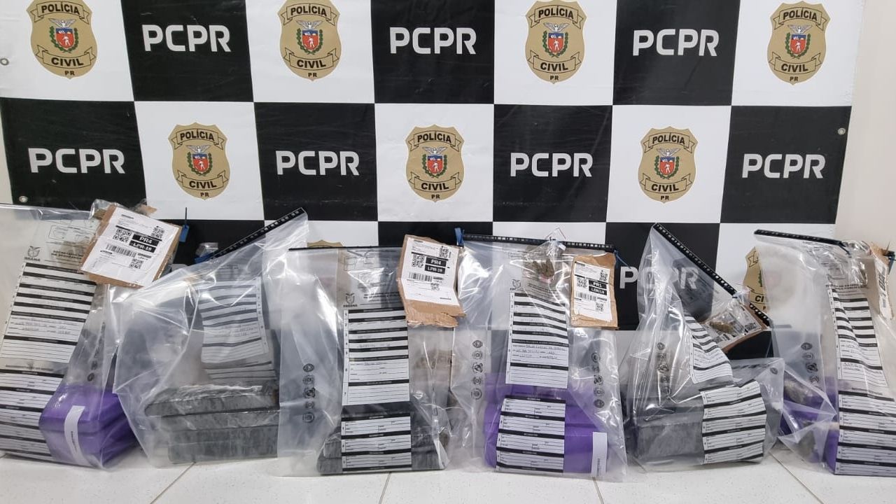 Polícia Civil apreende 30 quilos de maconha em empresa de transporte às margens da BR-277, em Cascavel